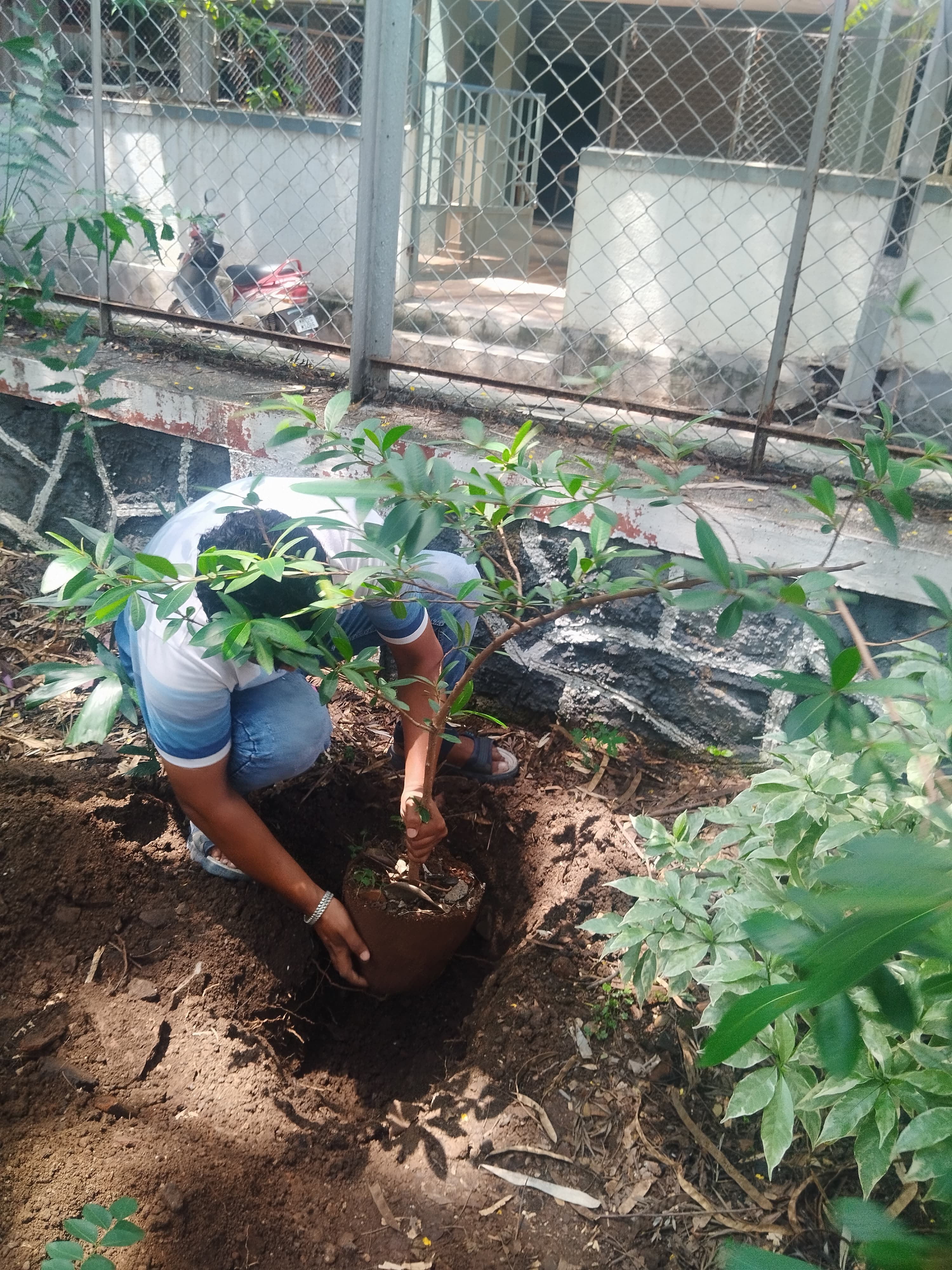 Environment initiative image 2