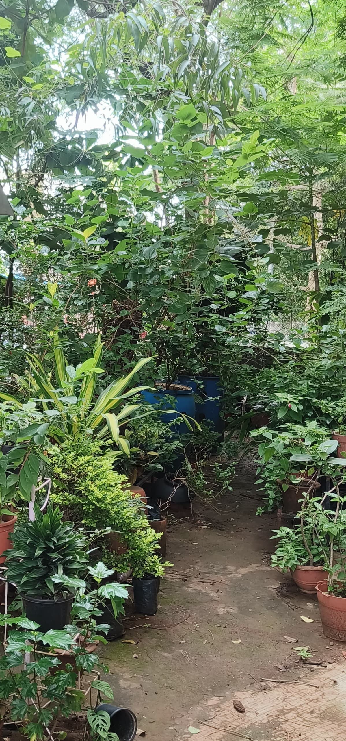 Environment initiative image 3